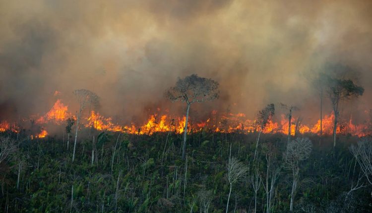 Invasores queimam 4 mil hectares de área produtiva e reserva legal no Amazonas