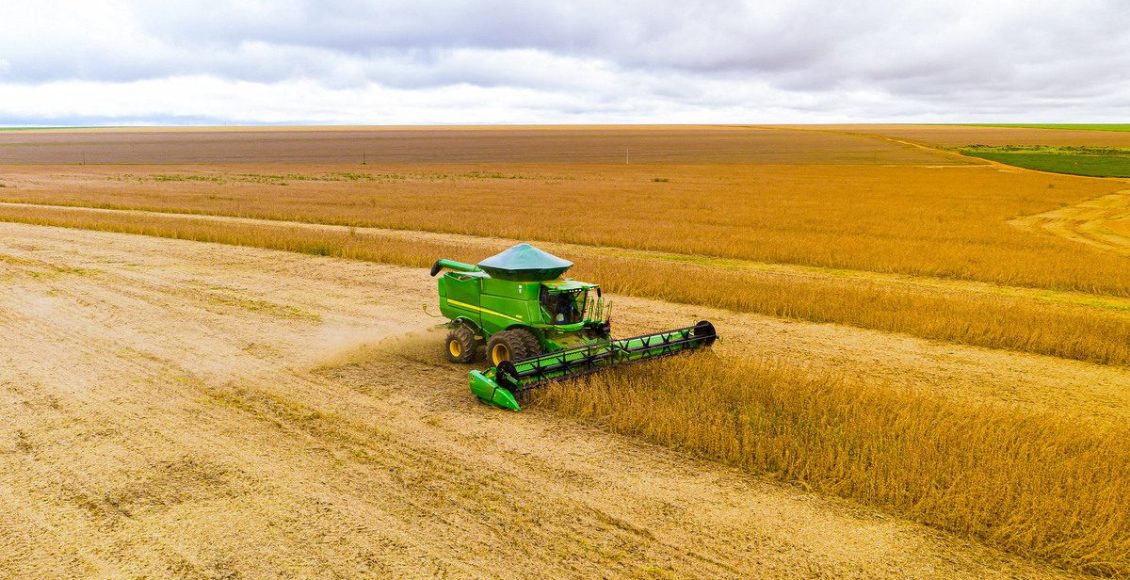 Comprar ou arrendar? Como se comportou o preço do hectare em 2025 e as projeções para 2026