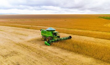 Comprar ou arrendar? Como se comportou o preço do hectare em 2025 e as projeções para 2026