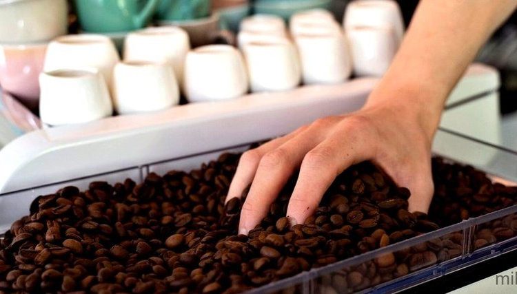 Mais de 1 milhão de cápsulas de café illy recicladas no Brasil em três anos