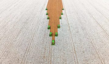 Fazenda adota agricultura regenerativa para elevar produtividade do algodão