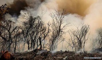 incendio-Floresta-Nacional-de-Brasilia