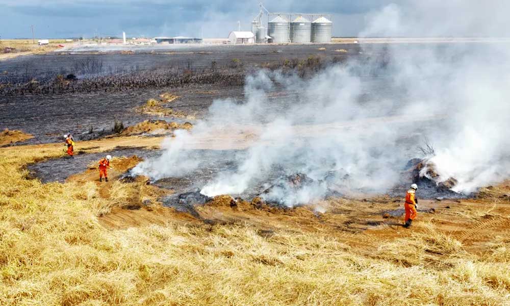 Produtores afetados por incêndios poderão captar recursos do Renovagro