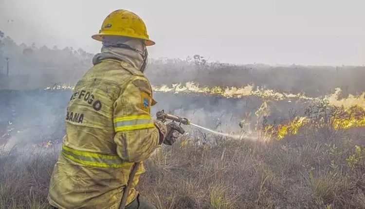 incendios no pantanal multa ibama