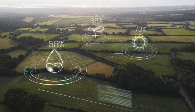 Agro 5.0: Inteligência Artificial impulsiona revolução no agro brasileiro