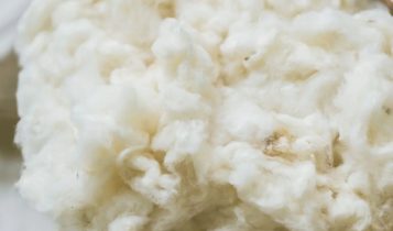 Abrapa deve fornecer 1 milhão de toneladas de algodão ao setor têxtil brasileiro até 2030