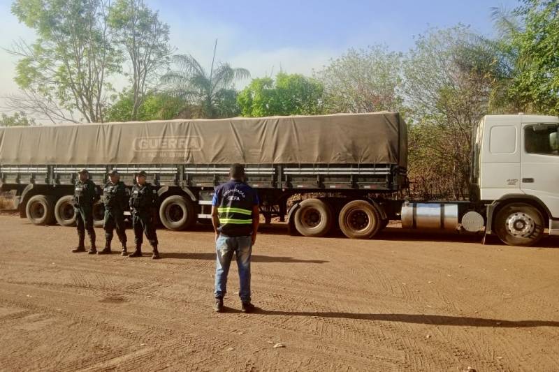 Sefa apreende 32 toneladas de minério de cobre no Araguaia