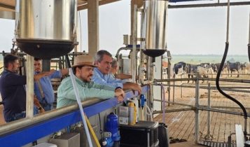 Grupo visita fazenda automatizada com criação de Girolando
