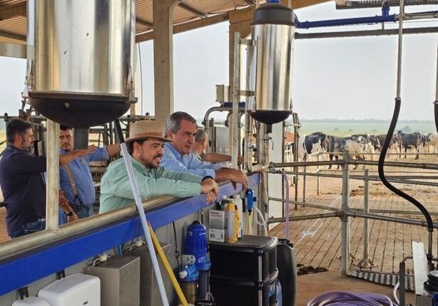 Grupo visita fazenda automatizada com criação de Girolando