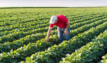 O que o setor agropecuário achou do Plano Safra 2025/2026