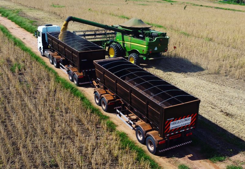 recuperação judicial no agro - colheita - trator - carreta - Grupo, que acumula dívidas superiores a R$ 700 milhões, já formalizou pedido de tutela cautelar para reestruturar as finanças e garantir a quitação de débitos; juiz vê boa-fé e comprometimento e suspende ações contra um dos maiores produtores rurais do país, o João Batista Consentini, do Grupo Consentini.