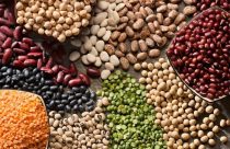 Câmara Setorial de Grãos é reativada pela SAR, Epagri, Cidasc e entidades do setor