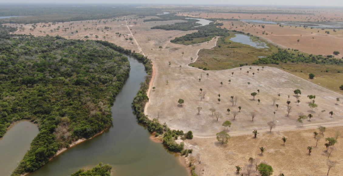 Área desmatada às margens do Lago Rico, na fazenda citada l Foto: DEMA