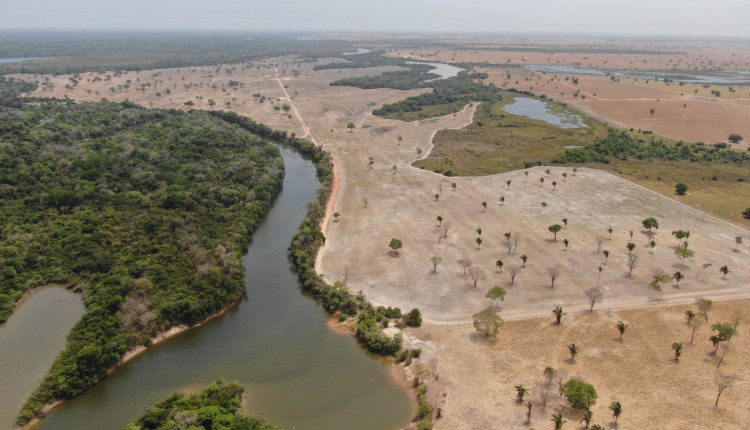 Área desmatada às margens do Lago Rico, na fazenda citada l Foto: DEMA