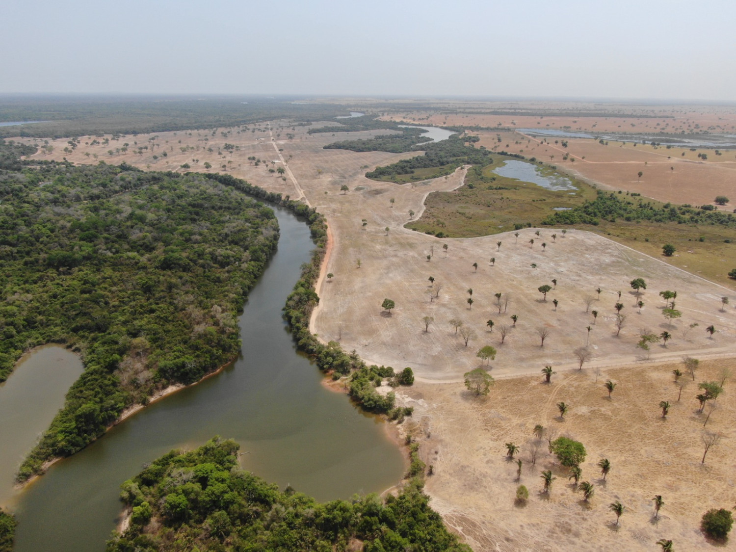 Área desmatada às margens do Lago Rico, na fazenda citada l Foto: DEMA