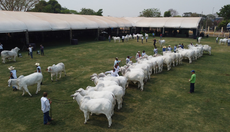 Aerea Recinto de Exposicoes - Expo Rio Preto