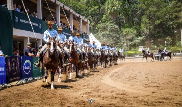 Associacao Brasileira de Criadores de Cavalos da Raça Mangalarga ABCCR - Parque da Agua Branca