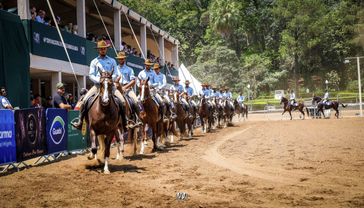 Associacao Brasileira de Criadores de Cavalos da Raça Mangalarga ABCCR - Parque da Agua Branca