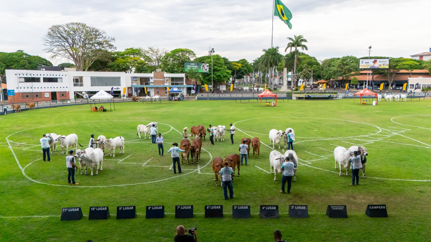 Expobrahman 2024 - Parque Fernando Costa - Uberaba