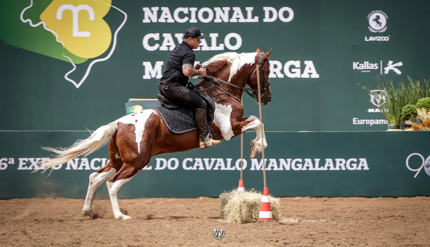 Exposicao Nacional do Mangalarga