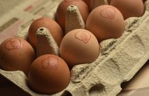 No Dia Mundial do Ovo, Mantiqueira Brasil explica como diferenciar os tipos de ovos