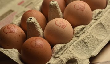 No Dia Mundial do Ovo, Mantiqueira Brasil explica como diferenciar os tipos de ovos