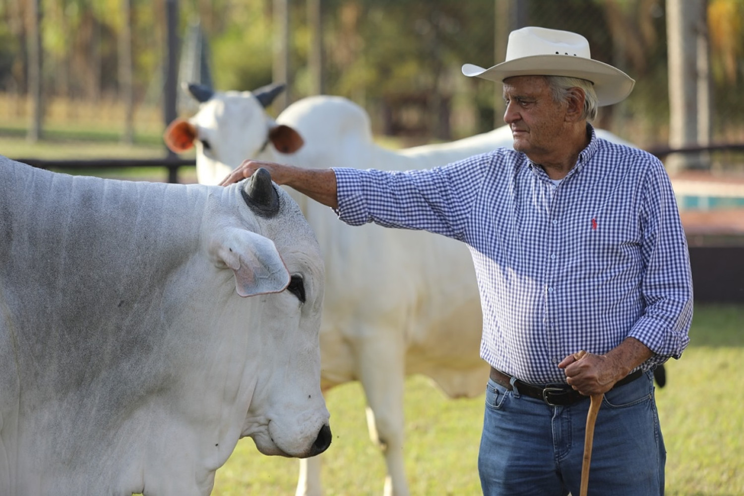 Ha cerca de uma semana perdiamos Adir do Carmo Leonel