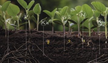 Novos projetos de fomento de NPK no Brasil miram reduzir a dependência internacional