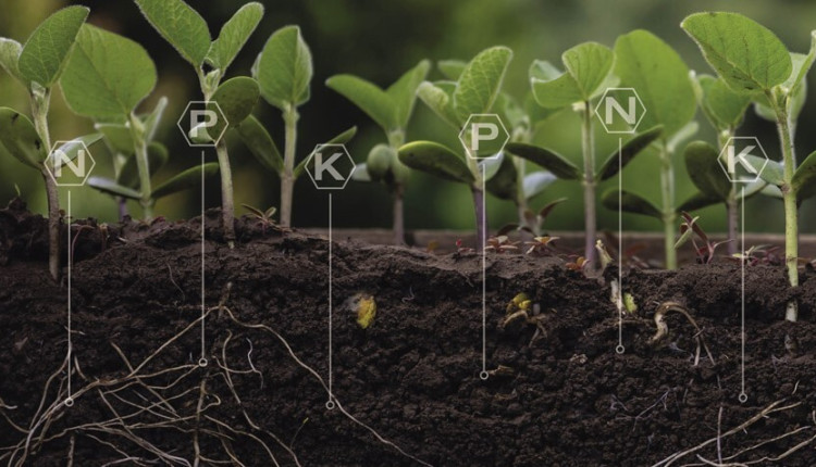 Novos projetos de fomento de NPK no Brasil miram reduzir a dependência internacional
