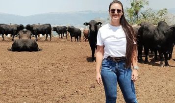 Pamela Pontes - Confinamento