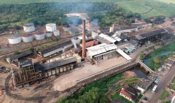 Usina Coaf segue batendo recorde semanal de moagem e prevê 1 mi de toneladas na safra