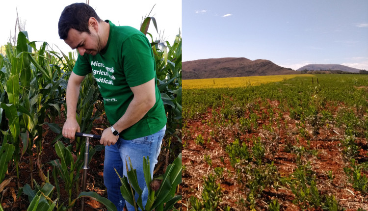 analise de solo - microbiota - mato grosso - carregado soja