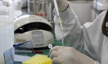 Protocolo orienta o uso de ressonância magnética no estudo do metabolismo de plantas