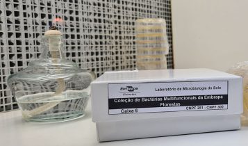 O acervo tem sido determinante para seleção de estirpes com aptidão para o desenvolvimento de bioinsumos inovadores, na forma de inoculantes