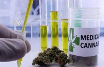 cannabis medicina veterinaria