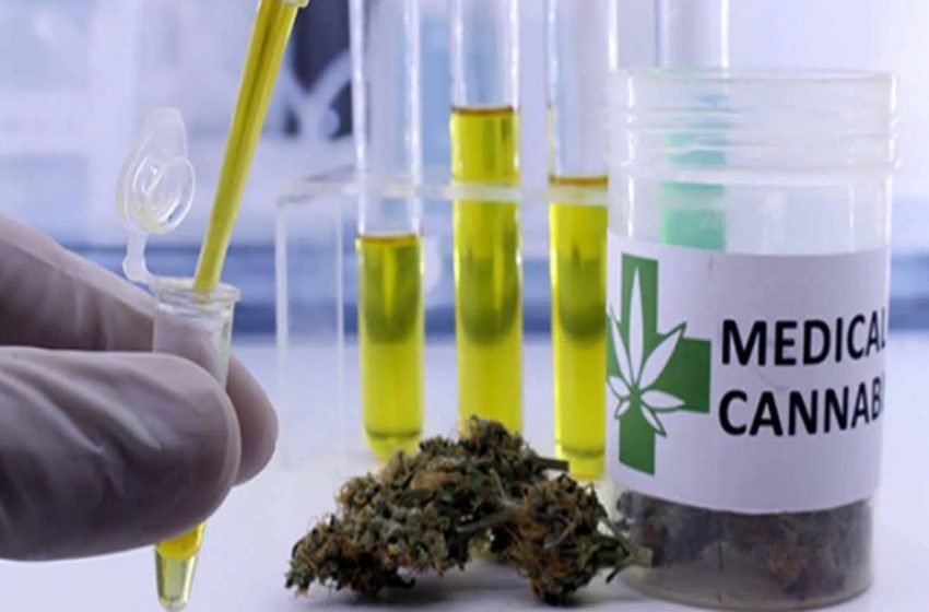 cannabis medicina veterinaria