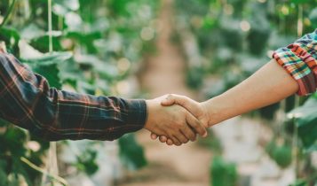 Cooperativas agropecuárias faturam 3,6% mais em 2024, afirma OCB