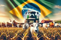 Os 10 estados que lideram a produção agrícola no Brasil em 2024