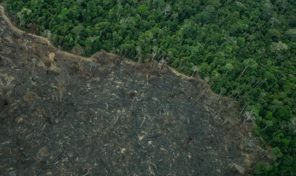 Imagens de satélite mostram novas áreas de garimpo em terras indígenas