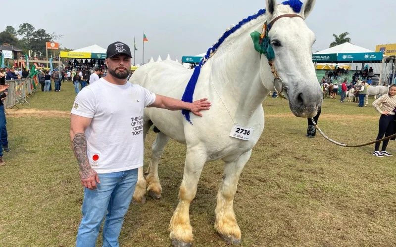 VÍDEO: Conheça camelote, o cavalo gigante que come 16 quilos de ração diários