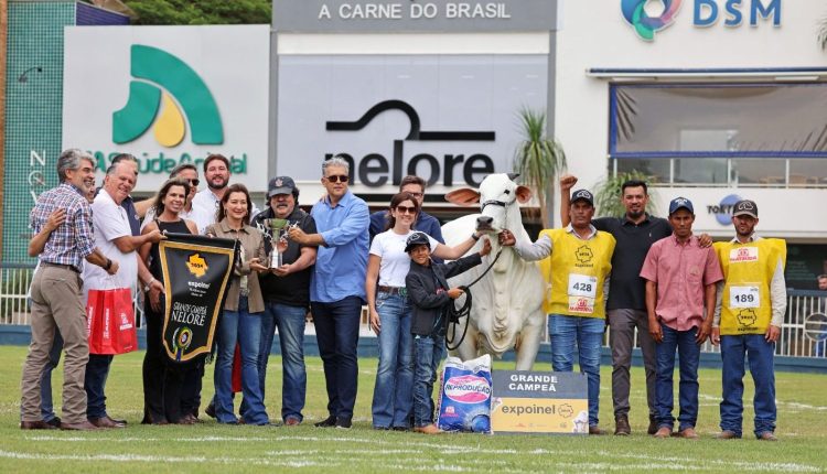 Carina FIV do Kado, bi Grande Campeã da Expoinel