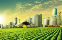 Qual é a capital do agronegócio no Brasil?