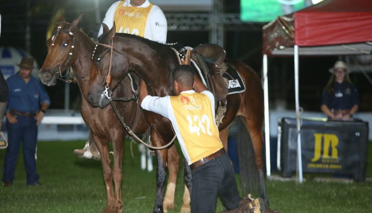 17º Campeonato Brasileiro de Marcha Picada do Mangalarga Marchador