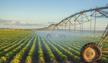 Índice de Commodities do BC sobe 4,30 % em dezembro e tem queda de 9,49% em 2025