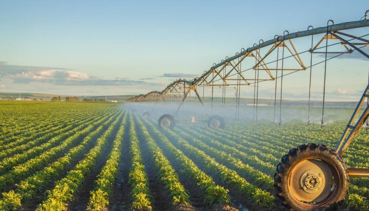 Commodities agrícolas sobem em setembro sob pressão climática