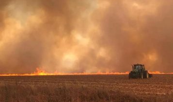 Incêndios causaram R$ 2,67 bilhões em prejuízos ao setor canavieiro no Centro-Sul