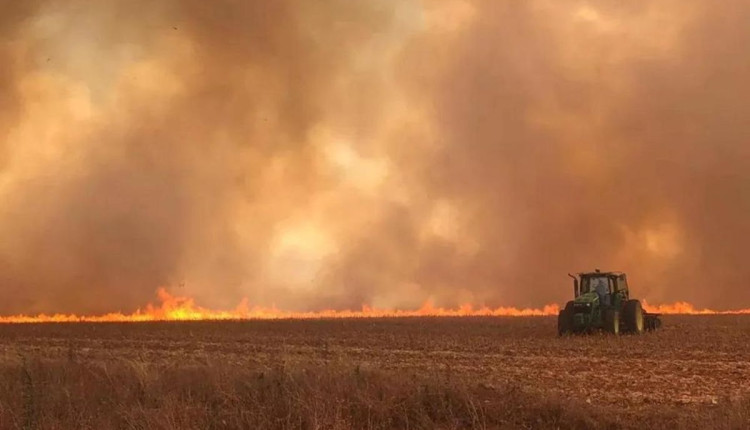 Incêndios causaram R$ 2,67 bilhões em prejuízos ao setor canavieiro no Centro-Sul