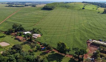 IAT reforça importância da atualização regular do Cadastro Ambiental Rural
