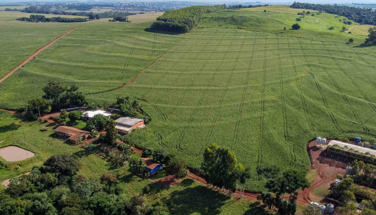 IAT reforça importância da atualização regular do Cadastro Ambiental Rural