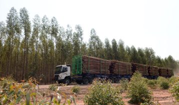 Superintendência do Cade aprova contrato de permuta entre Suzano e Eldorado